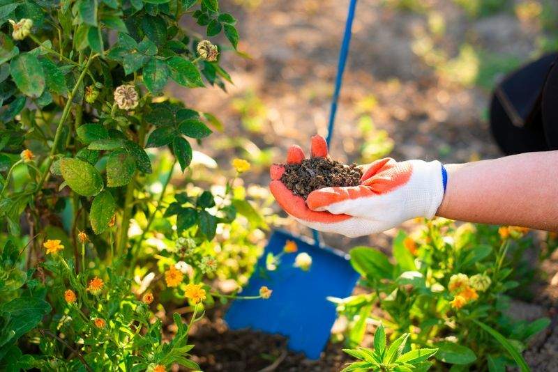 梅雨前に見直したい植栽まわりのメンテナンス